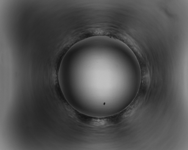 X0000094450469200711081308