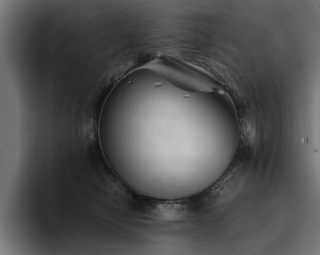 X0000094450470200711081308