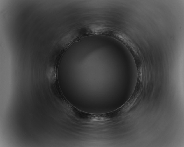 X0000094450471200711081308