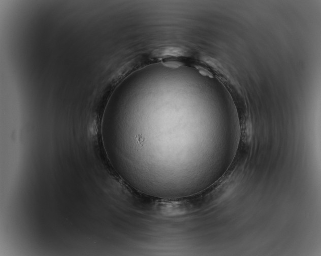 X0000094450472200711081308