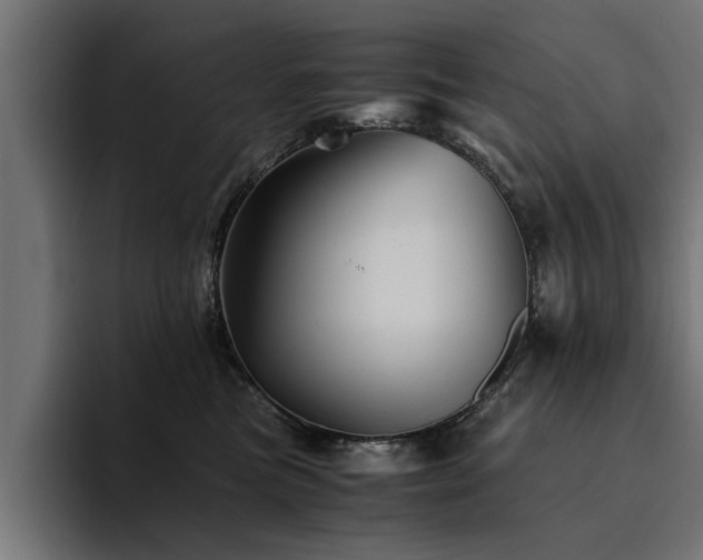X0000094450473200711081308