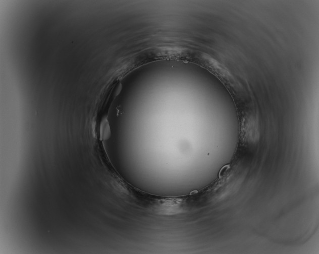X0000094450474200711081308
