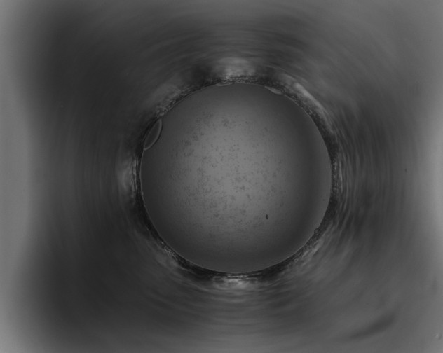 X0000094450475200711081308
