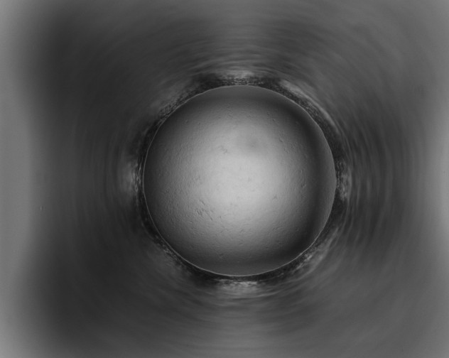 X0000094450476200711081308