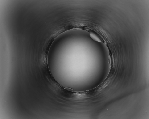 X0000094450477200711081309