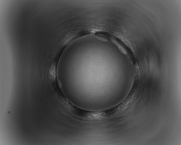 X0000094450479200711081309