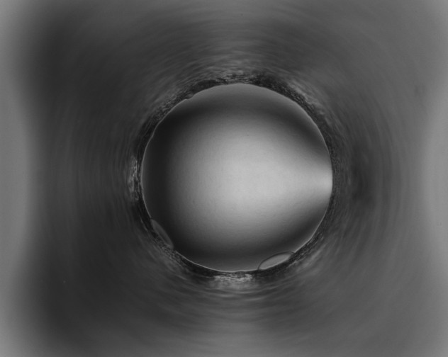 X0000094450480200711081309