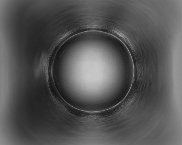 X0000094450482200711081308