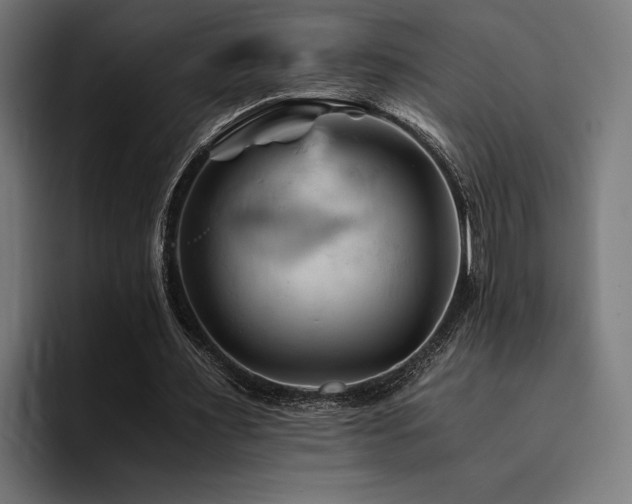 X0000094450483200711081308