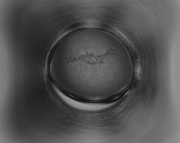 X0000094450484200711081308