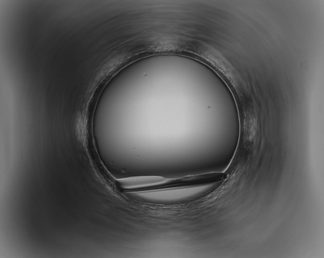 X0000094450485200711081308