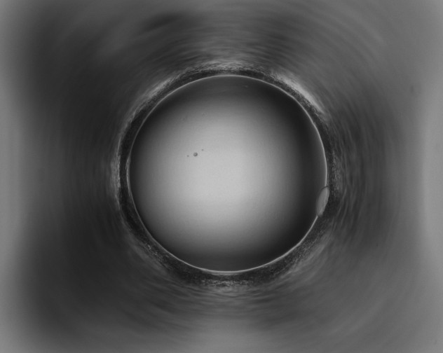 X0000094450486200711081308