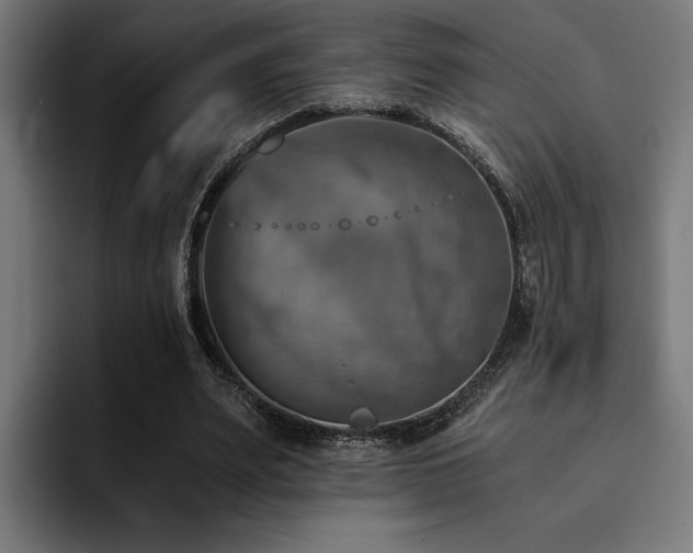 X0000094450487200711081308