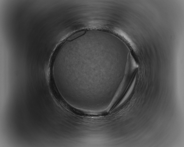 X0000094450488200711081308