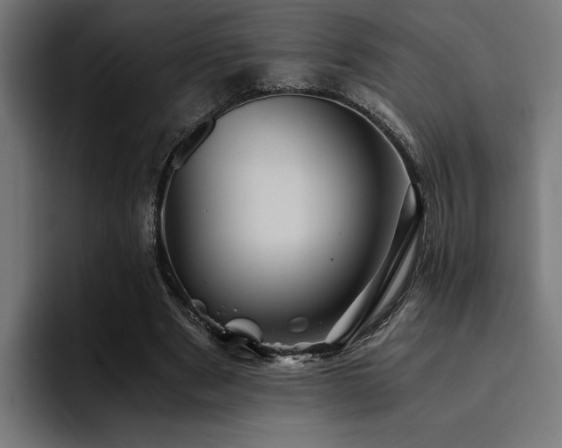 X0000094450489200711081308