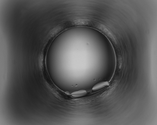 X0000094450490200711081308