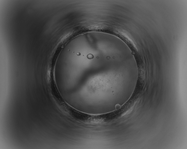 X0000094450491200711081308