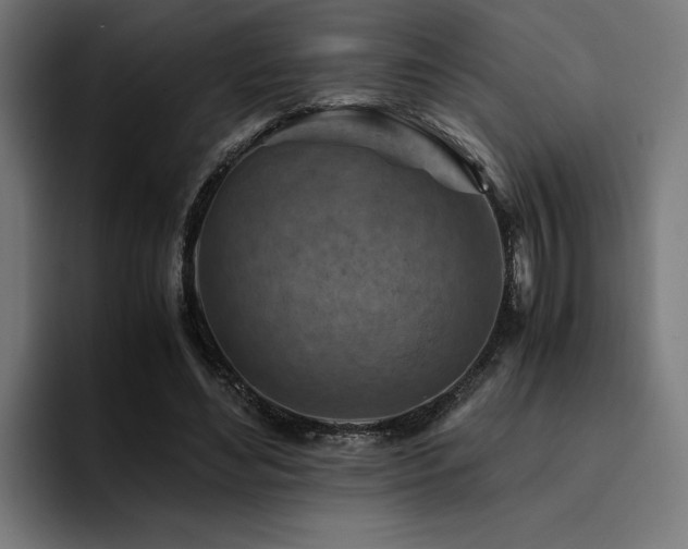 X0000094450492200711081308