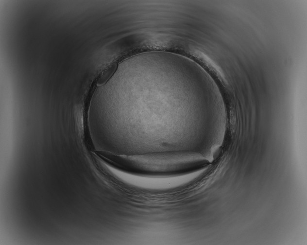 X0000094450493200711081308