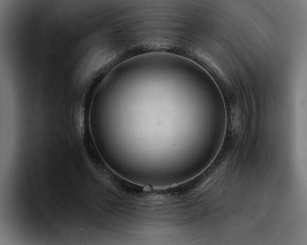 X0000094450494200711081308