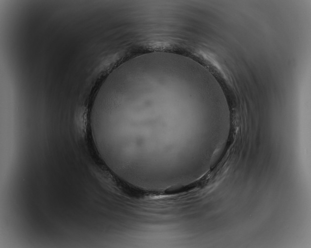 X0000094450495200711081308