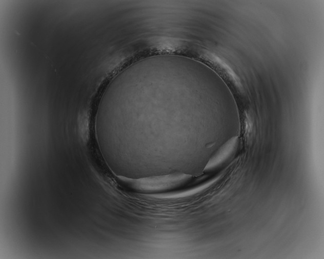 X0000094450496200711081308