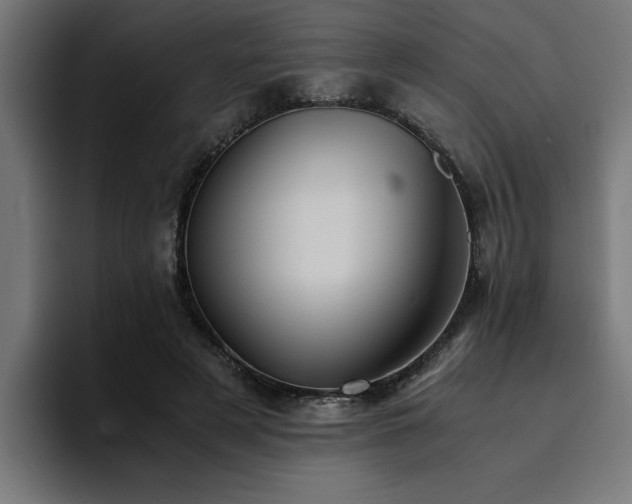 X0000094450497200711081308