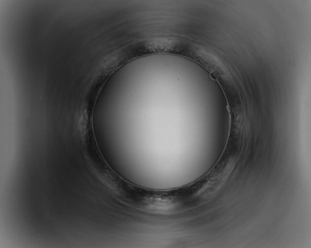 X0000094450498200711081308