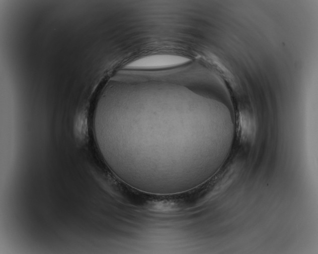 X0000094450500200711081308