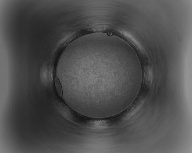 X0000094450501200711081308