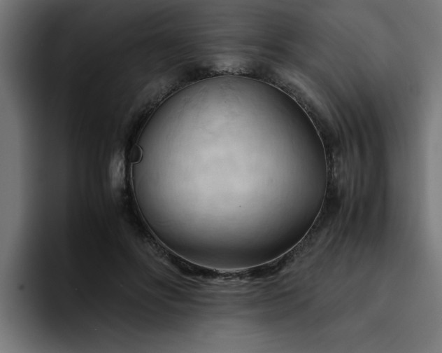 X0000094450502200711081308