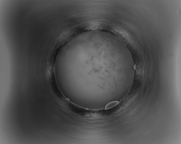 X0000094450503200711081308