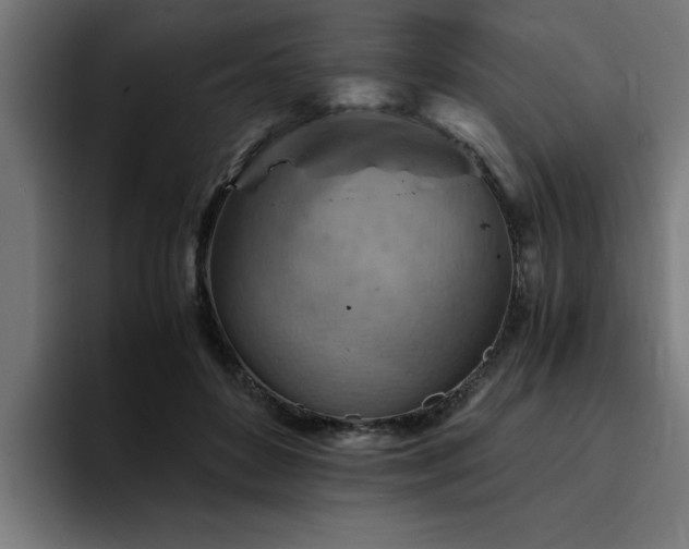 X0000094450504200711081308
