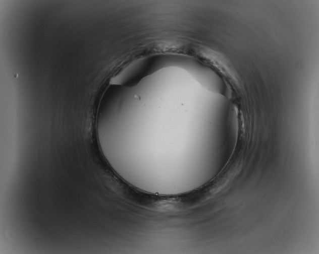 X0000094450505200711081308