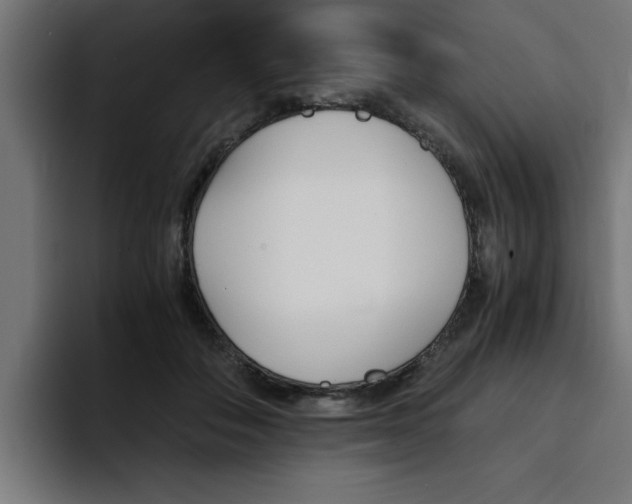 X0000094450506200711081308