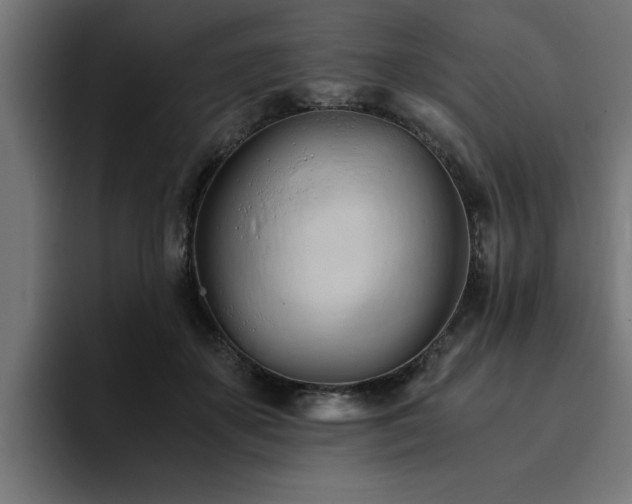 X0000094450507200711081308