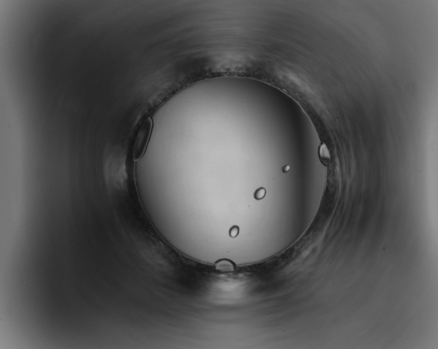 X0000094450508200711081308