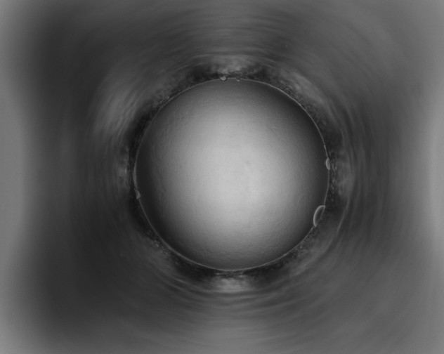 X0000094450510200711081308