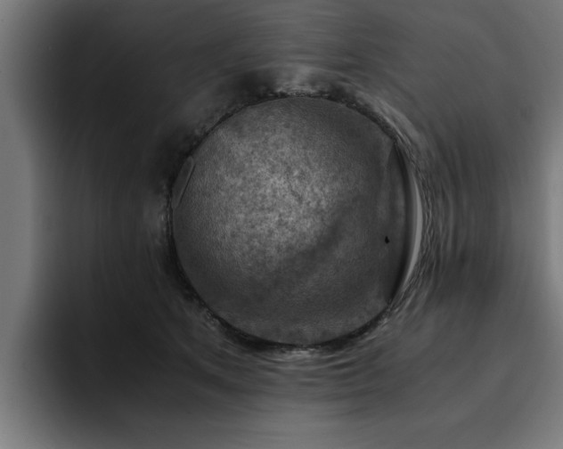 X0000094450513200711081308