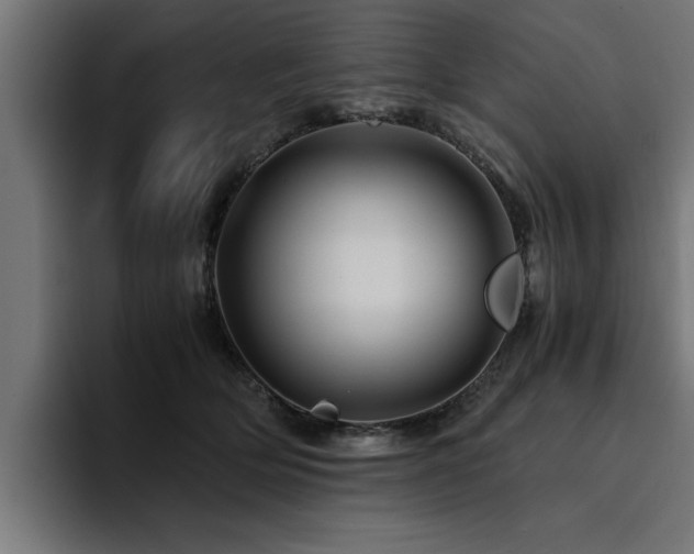 X0000094450514200711081307