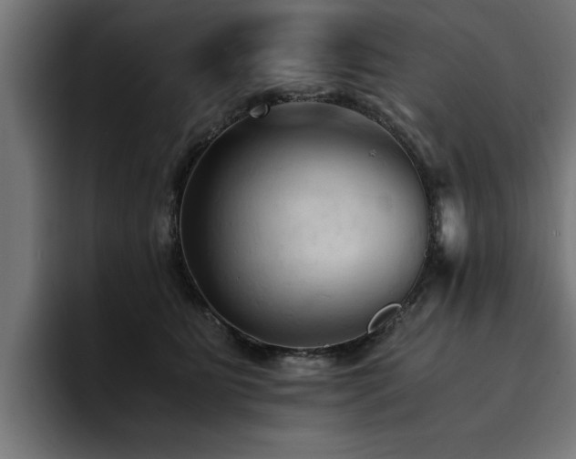 X0000094450515200711081307
