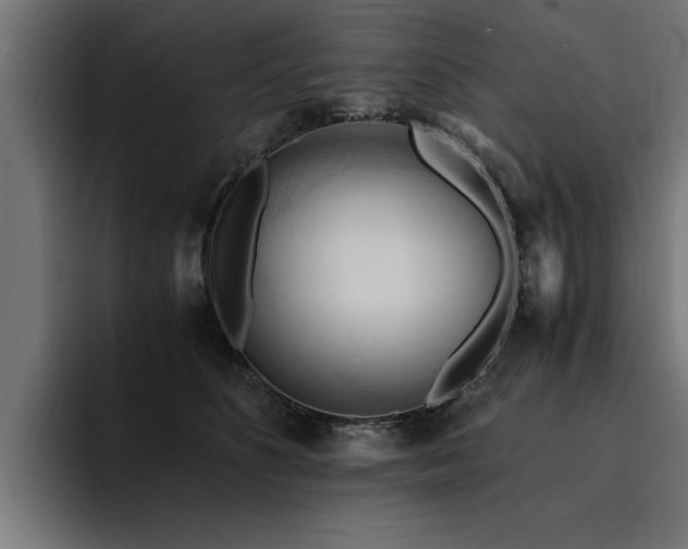 X0000094450516200711081307