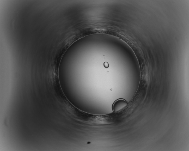 X0000094450518200711081307