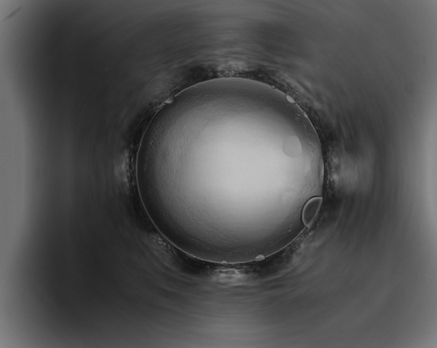 X0000094450519200711081307