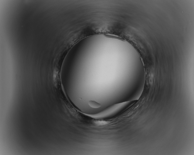 X0000094450521200711081307