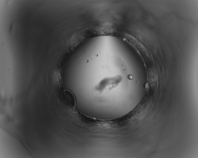 X0000094450523200711081307