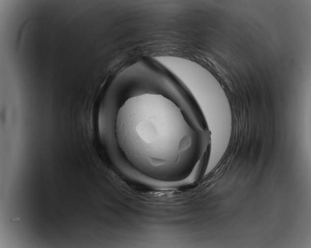 X0000094450524200711081307