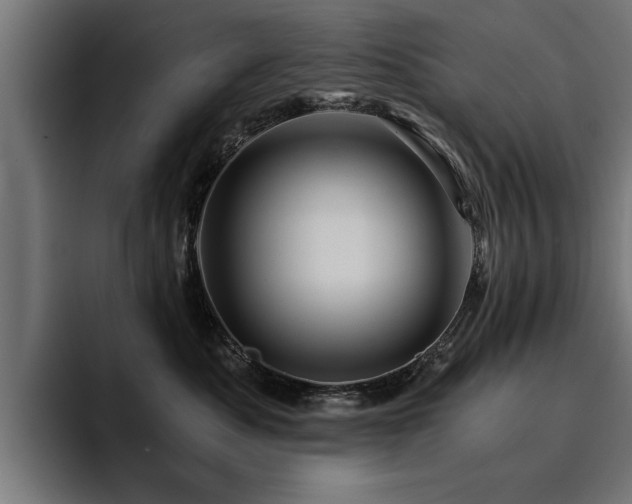X0000094450525200711081307