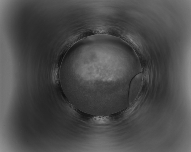 X0000094450526200711081307