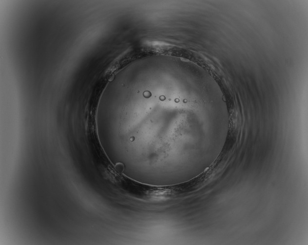 X0000094450527200711081307